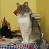 Отзыв от Ева Панкратова